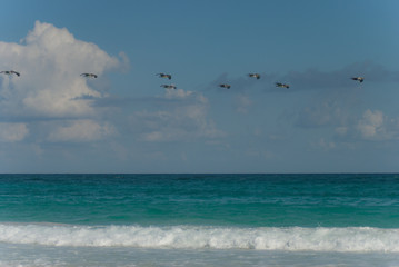 Xcacel, Mexico Beach Scene