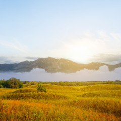 Fototapeta premium mountain valley with grassland at the sunset
