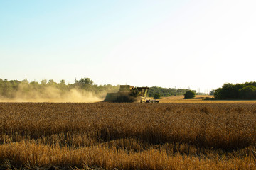 the tractor is harvesting wheat in a field