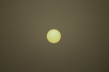 SUN