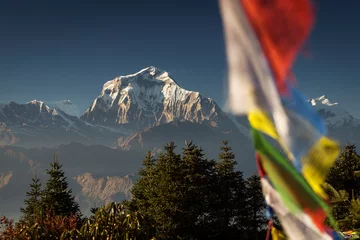 Papier Peint photo Dhaulagiri Bhuddism flags with Dhaulagiri peak in background at sunset in Himalaya Mountain, Nepal.