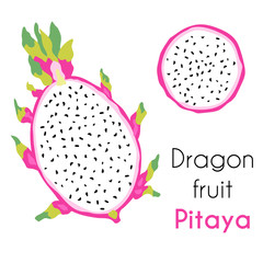 Vector summer illustration of exotic tropical fruit pitaya. Set of riped dragon fruit in trendy hand drawn style.