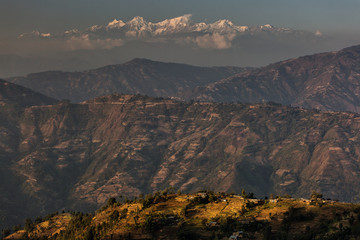 Beautiful fields of rice on trekking in Annapurna Cirquit, Nepal.