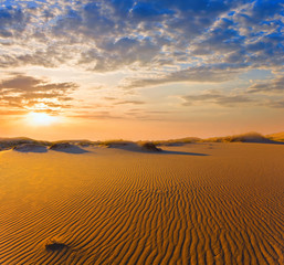 Fototapeta na wymiar dramatic sunset over a hot sandy desert