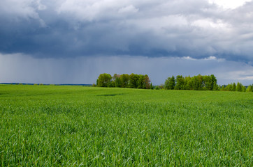 Spring rain. Rain over the green field. Beautiful rainy clouds in spring