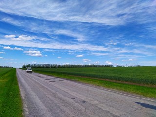 Road throgh a green field wheat under a blue sky