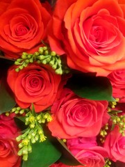 bouquet of red roses