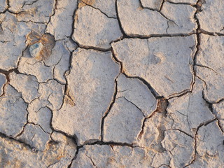 Dry cracked soil ground texture in fields 