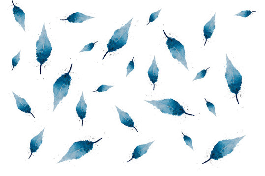 Illustration, pattern, watercolor feathers on a white background