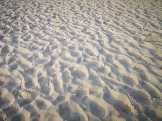 ripples in the sand on the beach
