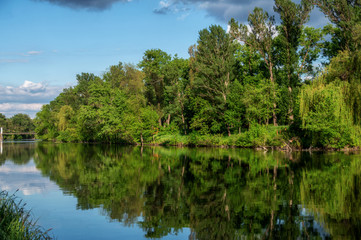 
river in the park reflection in the water
