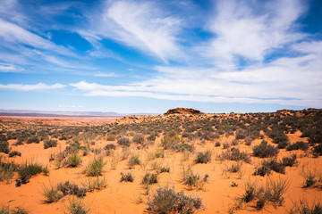 Fototapeta premium Desert Sky in Arizona