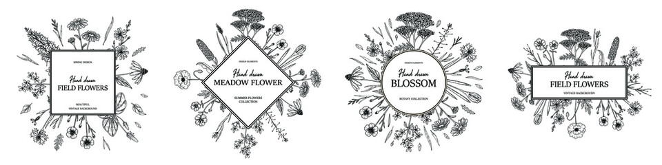 Set of hand drawn summer wild flowers square and circle frames. Vector illustration in sketch stile