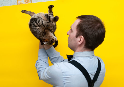 man in blue shirt and black suspender holding on back brown tabby cat on yellow background with copy space