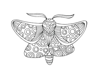 Hand drawn decorative vector illustration of moth. Isolated on white.
Butterfly coloring book. Doodle style illustration.