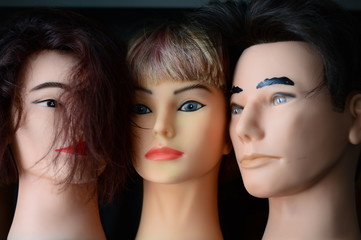 beautiful multi-colored wigs stand on a shelf