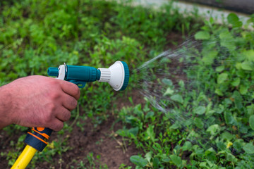 The man is watering the greenhouse