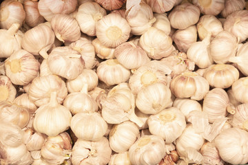Obraz na płótnie Canvas Pile of white garlic close-up. Young garlic is laid out on the counter. The concept of vitamins from a natural product, prevention from diseases or viruses, a culinary ingredient.