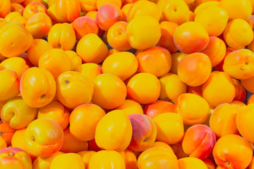A bunch of bright, juicy apricots close-up on the shelf in the store. The concept of the beginning...