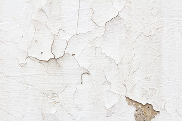 The texture of peeling white paint on the concrete wall of the fence. The concept of old age.