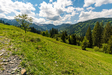 The beautiful Gunzesried valley