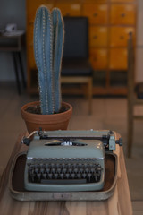 A typewriter and a large cactus on a wooden table