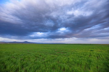 green field and abstract sky