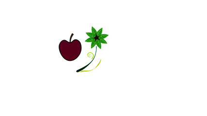 vector illustration of an apple