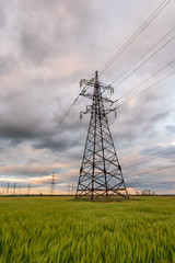 High-voltage power lines passing through a green field of wheat, on the background of a cloudy sky