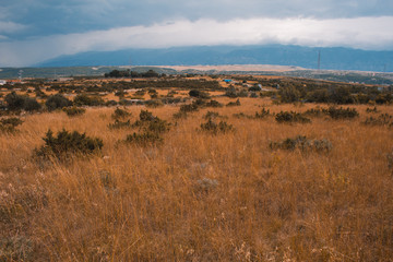 Wild landscape around Novalja on Pag island in Croatia