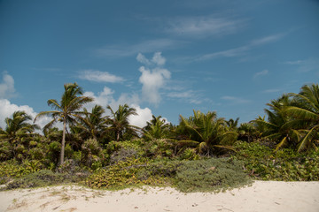 Xcacel beach scene located in Mexican Mayan Riviera