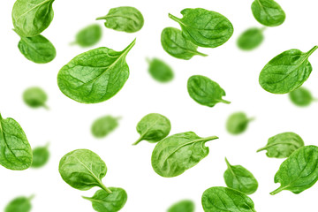 Falling Spinach isolated on white background, selective focus
