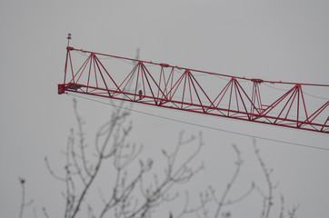 crane in city