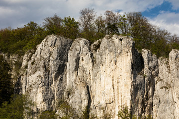 Ein Stein Berg am Donaudurchbruch, an einem Waldrand.