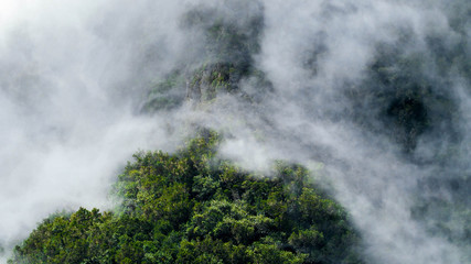 Cloudy and foggy day in the tropical jungle forest at mountains
