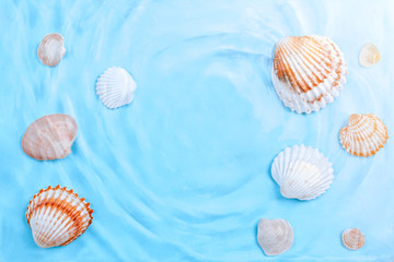 Sea shells of different sizes underwater, copy space. Various seashells in blue water with waves, top view, summer background