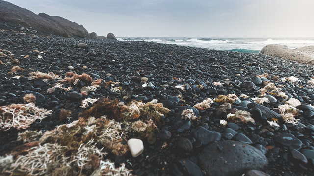 Toned photo of deserted rocky sea beach at cloudy and windy day - Powered by Adobe