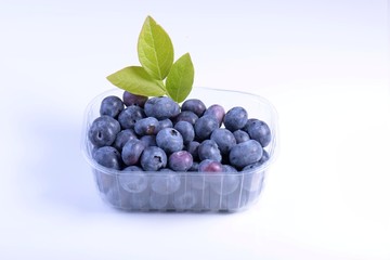 Blueberries