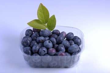 Blueberries