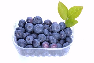 Blueberries