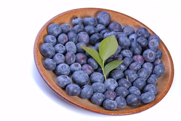 Blueberries