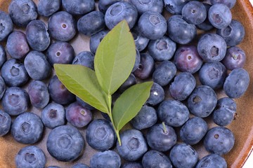 Blueberries