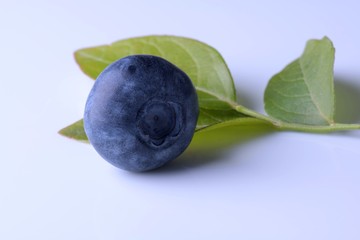 Blueberries