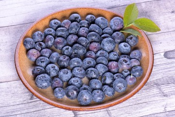 Blueberries