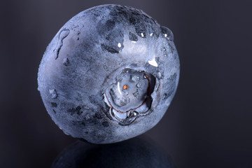 Blueberries © muro