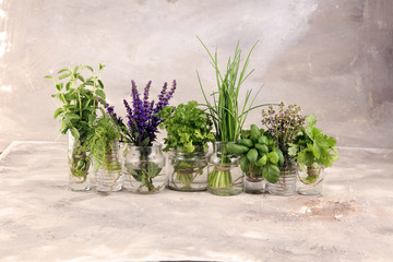 Fresh various herbs in glasses on a rustic background. Basil, flower sage, thyme, oregano, dill, chives, parsley and coriander.
