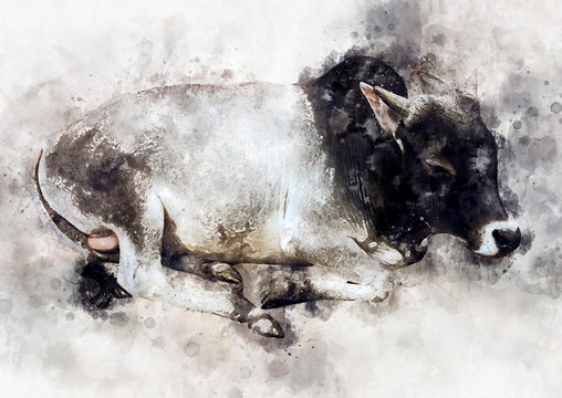 Watercolor Painting of a Cow Laying Down
