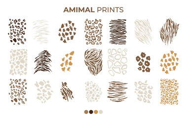 Tiger prints patterns, safari animals skin of leopard, jaguar and zebra, vector texture decoration elements. Safari animals print patterns, panther cheetah and giraffe fur hair leather isolated set - obrazy, fototapety, plakaty
