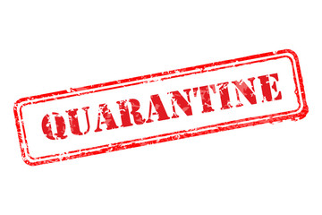 Rubber stamp template