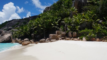 Naklejka premium tropical seychelles island